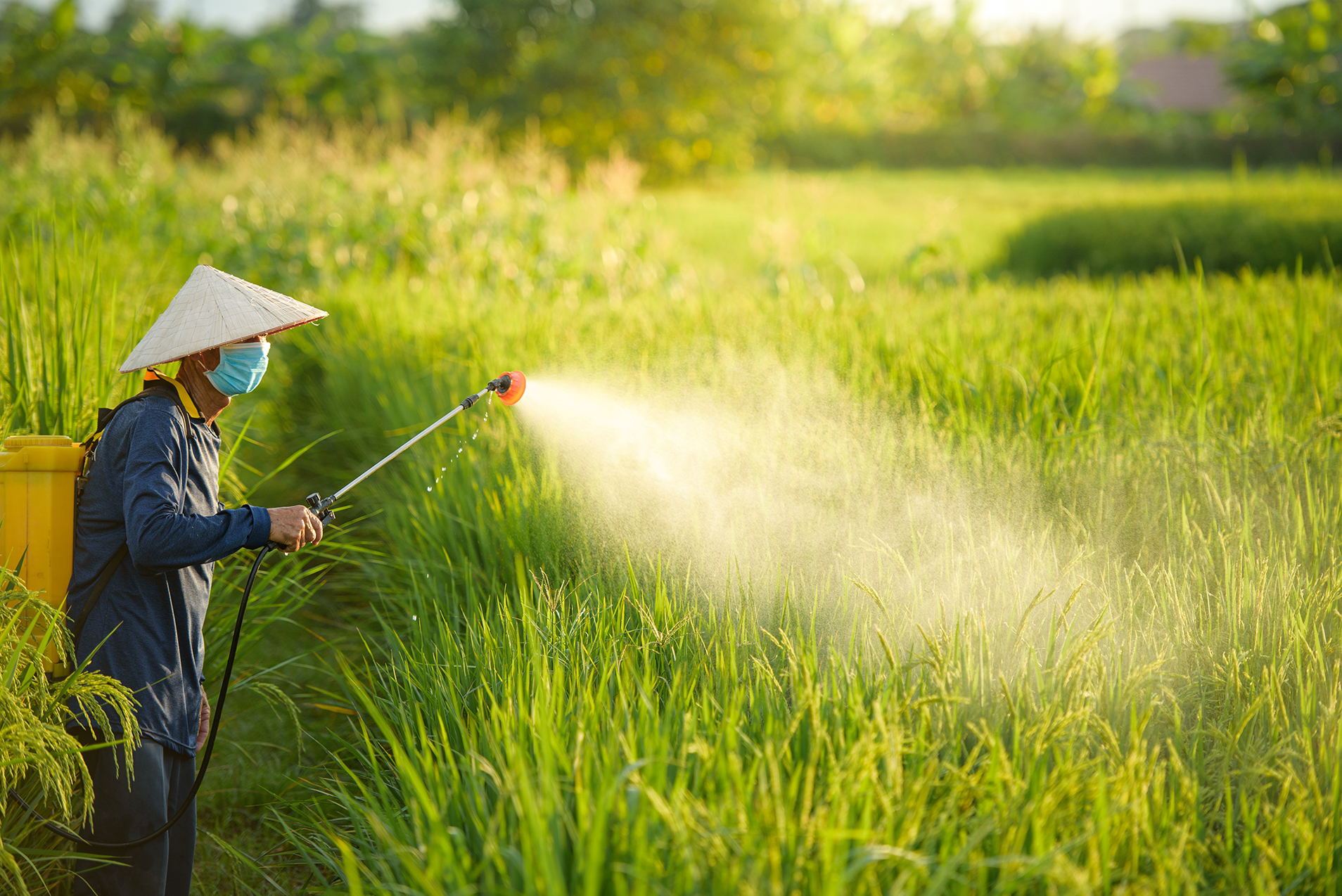 Các chiến lược thích ứng biến đổi khí hậu liên quan đến nhận thức của nông dân