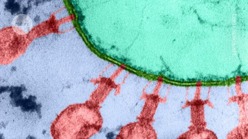 Virus đầu tiên trên thế giới do AI thiết kế, một bước tiến tới sự sống AI tạo sinh