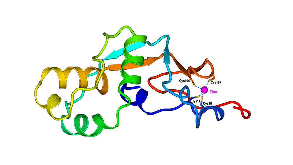 Sử dụng AI để dự đoán cấu trúc và chức năng của protein