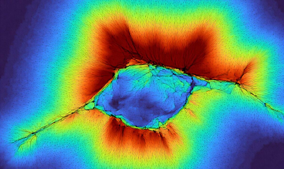 Làm việc cùng nhau, các tế bào có thể cảm nhận vượt khỏi môi trường của mình Làm việc cùng nhau, các tế bào có thể cảm nhận vượt khỏi môi trường của mình