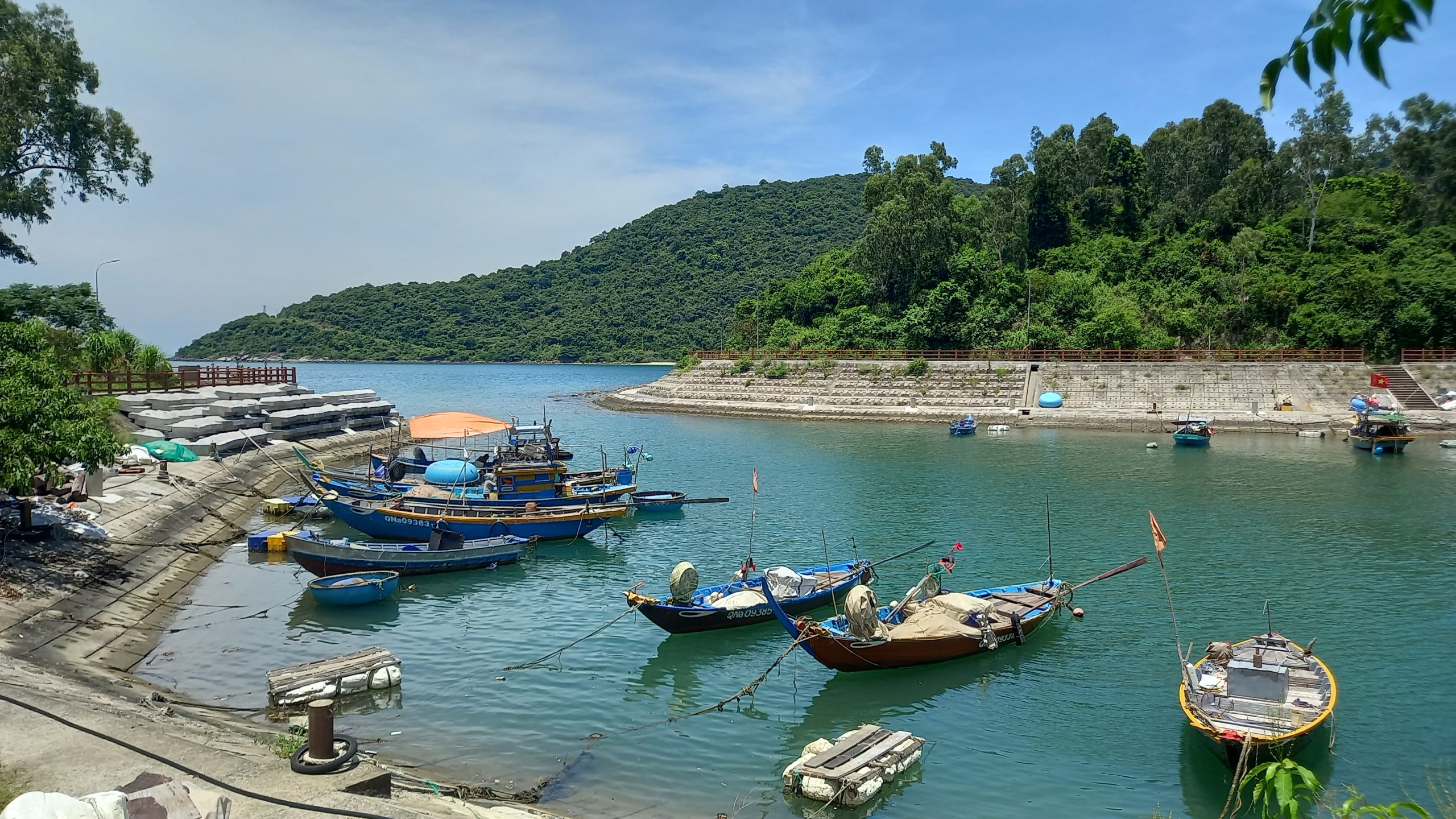 Cù Lao Chàm: Điểm sáng về bảo tồn biển