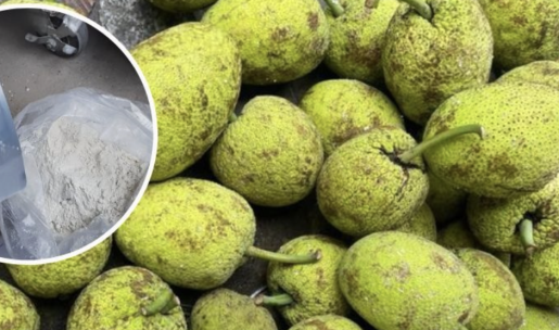 Sản xuất bột không gluten từ trái sa kê