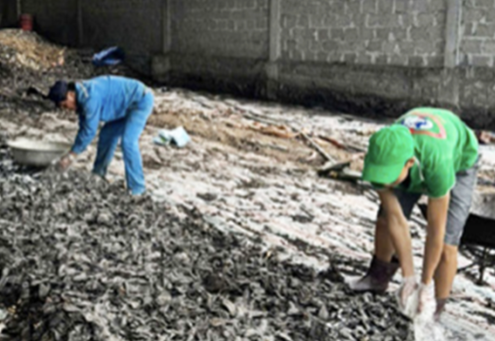 Xử lý chất thải trong chế biến chuối sấy kết hợp vỏ cà phê làm phân bón hữu cơ