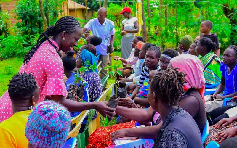Nỗ lực chống đói nghèo có thể cần đến sự thông hiểu văn hóa chứ không chỉ là tiền