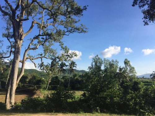 Một lịch sử khác vùng biên viễn