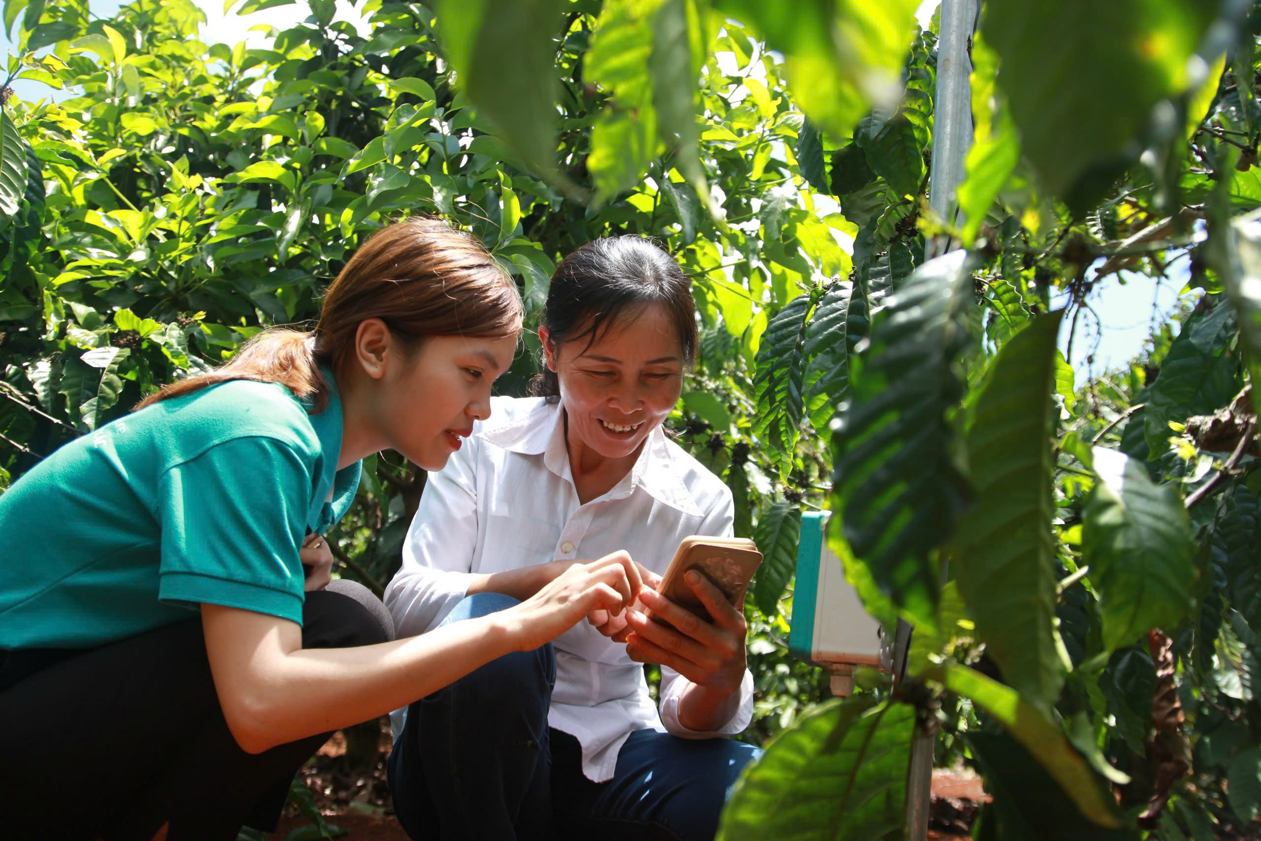 Quốc gia đi thuê nền tảng