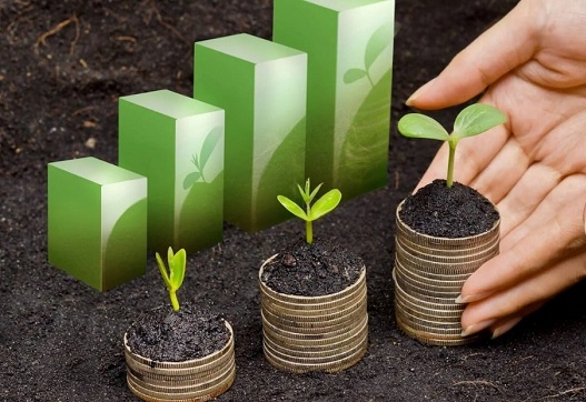 Quỹ chuyển đổi xanh 10 triệu USD của Touchstone