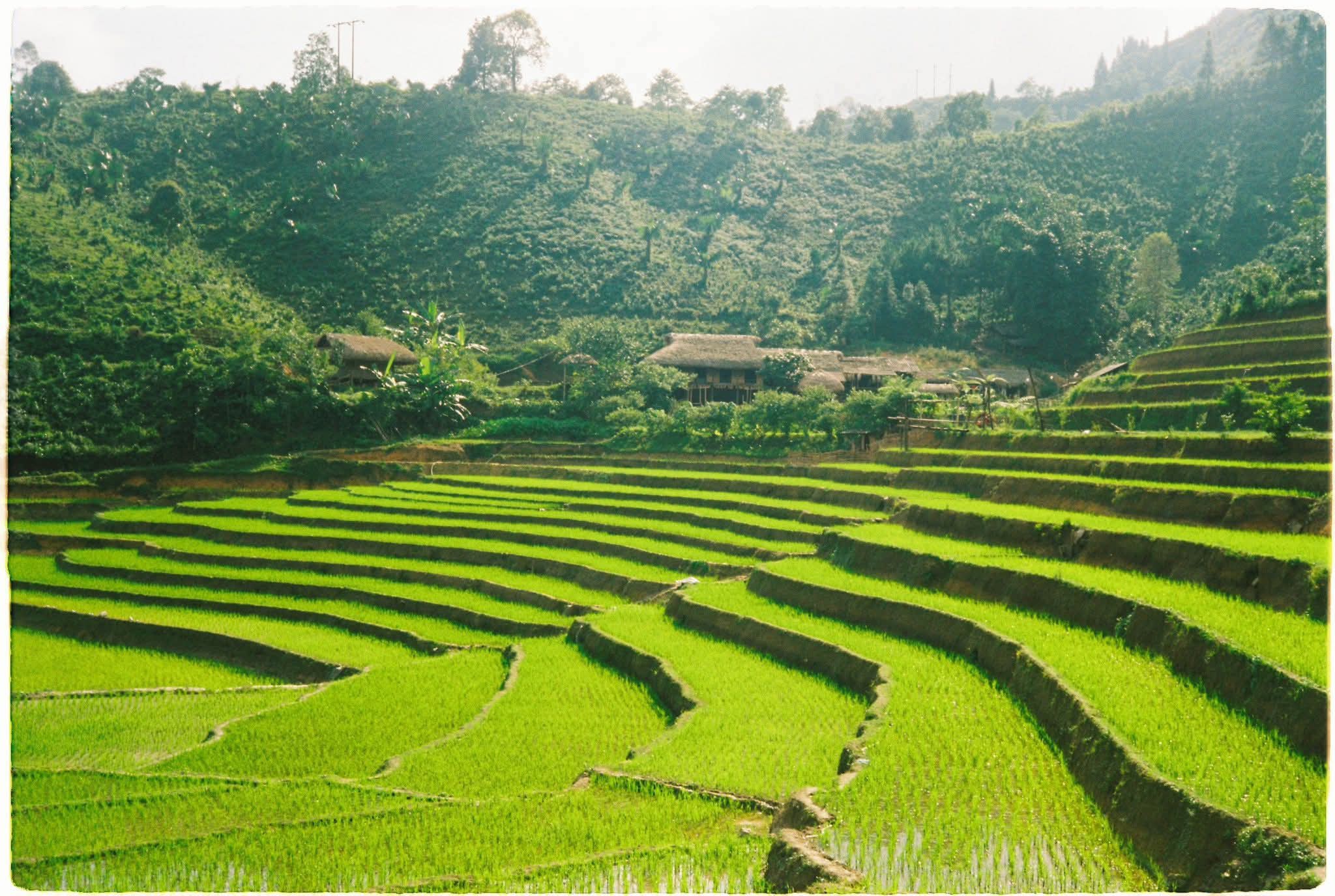 Khi người miền núi ‘kể chuyện’ di sản bằng công nghệ số