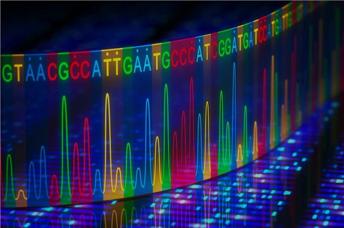 Tạo ra bước nhảy vọt về trình tự gene
