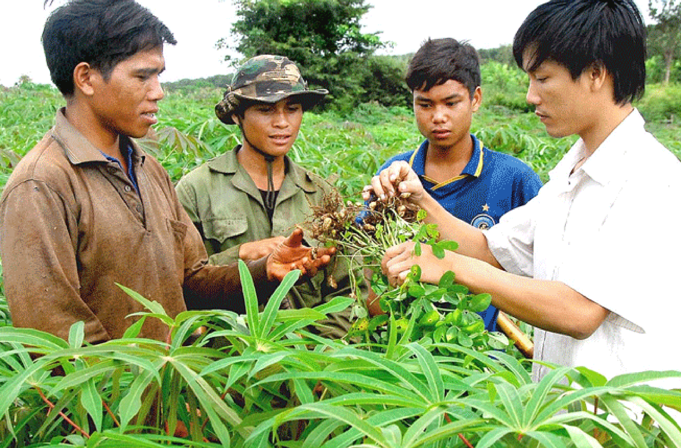 Chuyển giao kỹ thuật và chia sẻ tri thức cùng nông dân: Kinh nghiệm từ RDSC