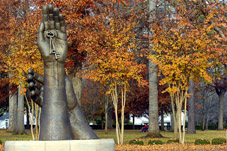 Đại học để làm gì?