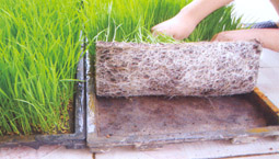 Giới thiệu sản phẩm công nghệ sau thu hoạch