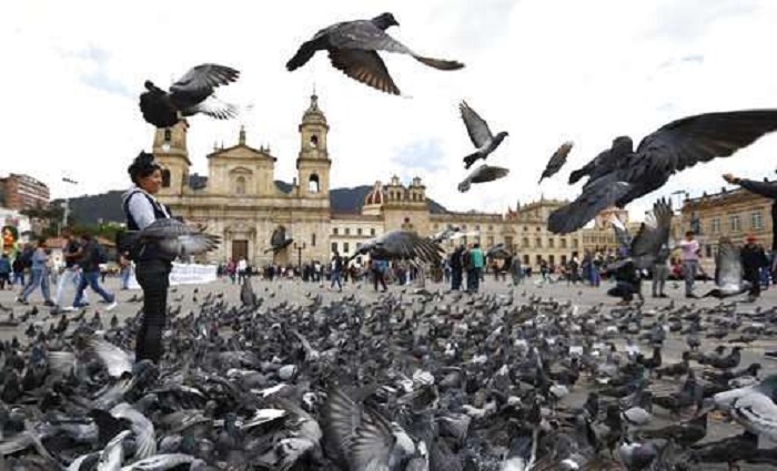 Mô hình hóa tương tác người – vật để chứng tỏ khi nào vật tránh người