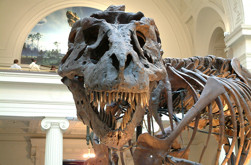 Ngày khủng long lìa đời (Kỳ 1)